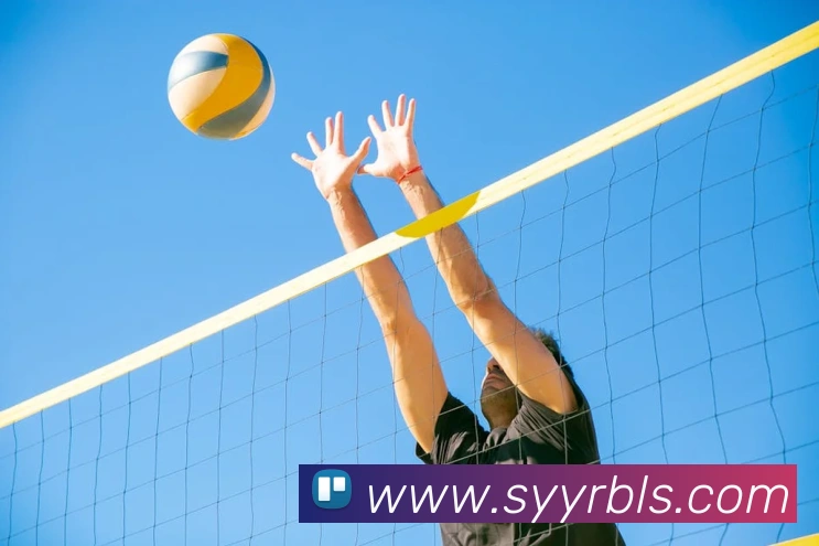 AI Risk Control